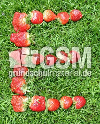 E-wie-Erdbeeren.jpg